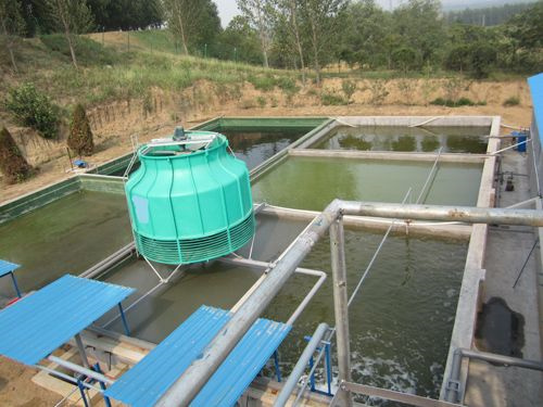 污水處理現(xiàn)場 (3).jpg